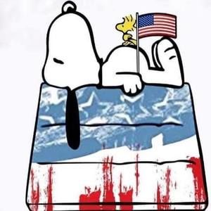 Meet your Posher, Andy